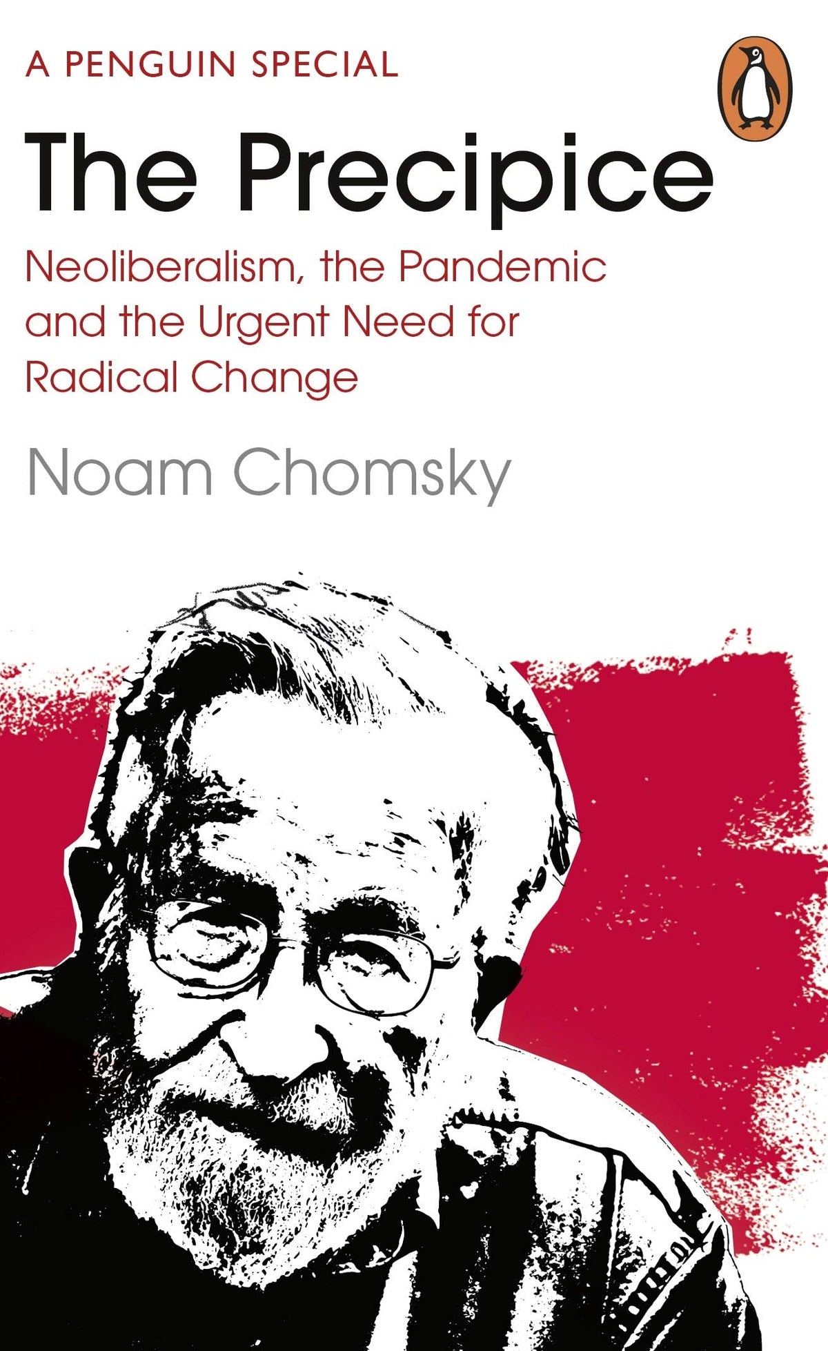 The Precipice - Neoliberalism, the Pandemic and the Urgent Need for Radical Change