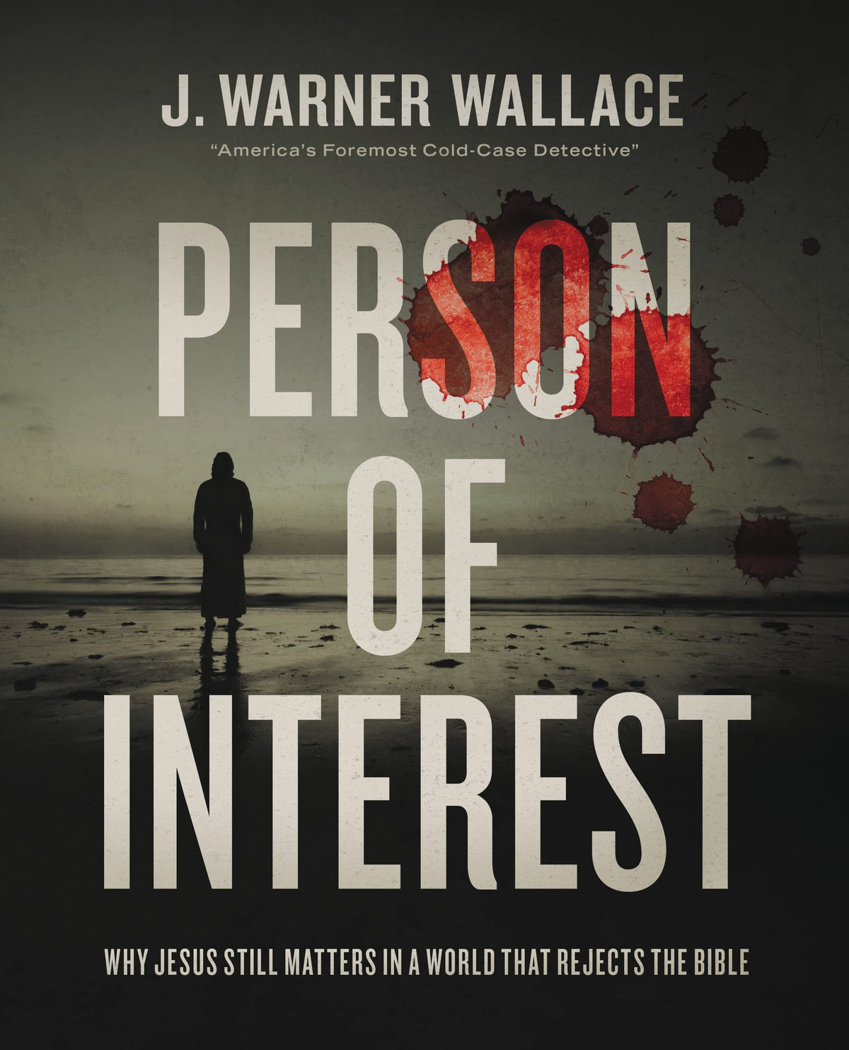 Person of Interest - Why Jesus Still Matters in a World That Rejects the Bible