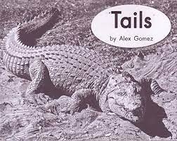 My Take-Home Book  Tails