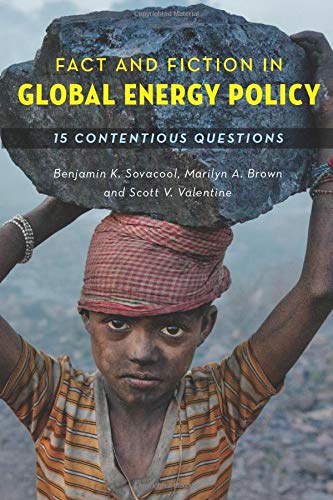 Fact and Fiction in Global Energy Policy - Fifteen Contentious Questions