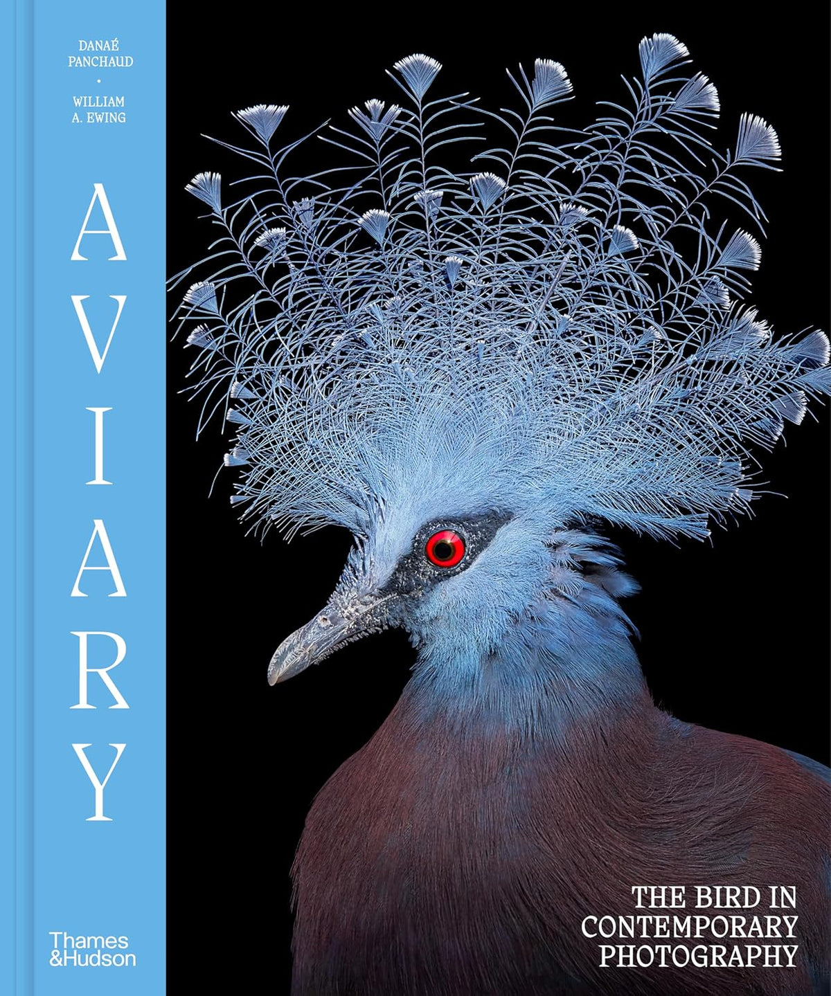 Aviary: The Bird in Contemporary Photography