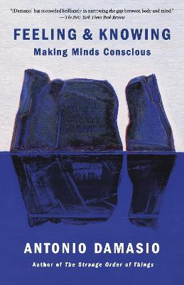 Feeling and Knowing - Making Minds Conscious