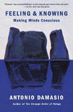 Feeling and Knowing - Making Minds Conscious