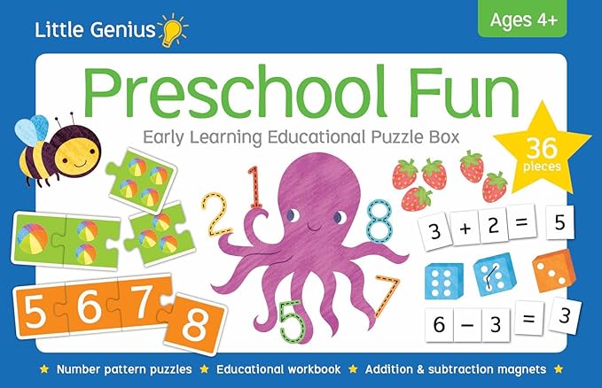 Lg Puzzle Box Preschool Fun