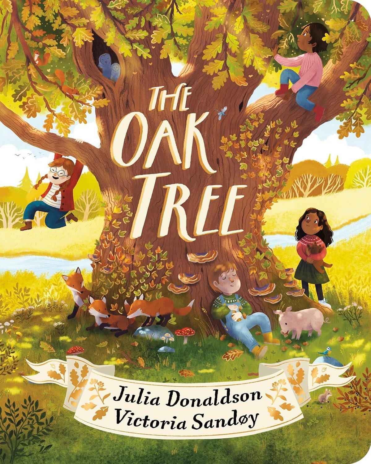 The Oak Tree CBB a dazzling celebration of nature by Julia Donaldson