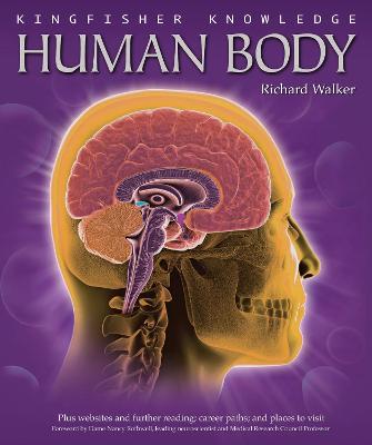 Human Body