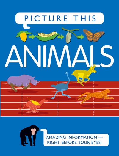 Picture This! Animals: Amazing Information-right Before Your Eyes