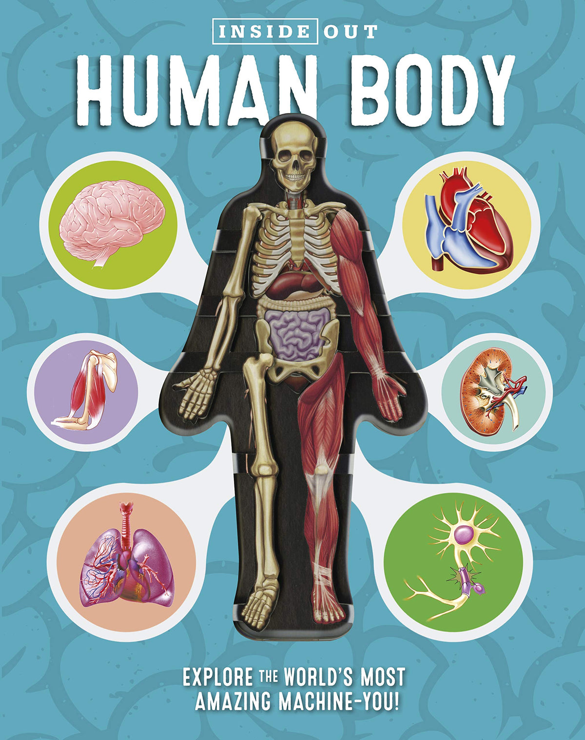 Inside Out Human Body - Explore the World's Most Amazing Machine-You!