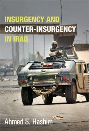 Insurgency And Counter-insurgency In Iraq