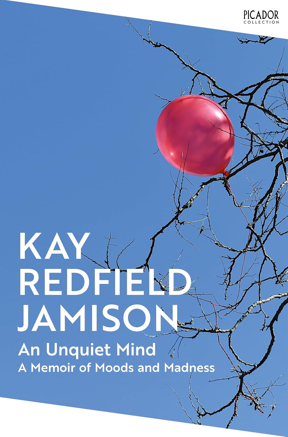 An Unquiet Mind - A Memoir of Moods and Madness