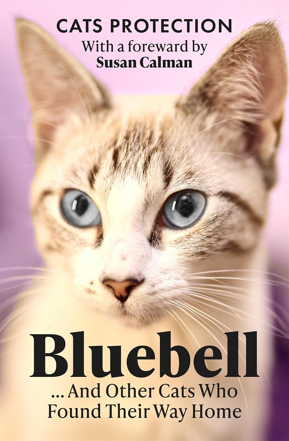 Bluebell ... And Other Cats Who Found Their Way Home