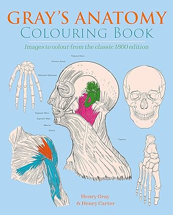 Gray's Anatomy Colouring Book: Images to Colour from the Classic 1860 Edition