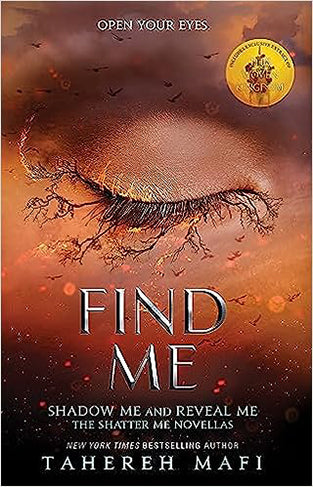 Find Me: TikTok Made Me Buy It! The most addictive YA fantasy series of the year