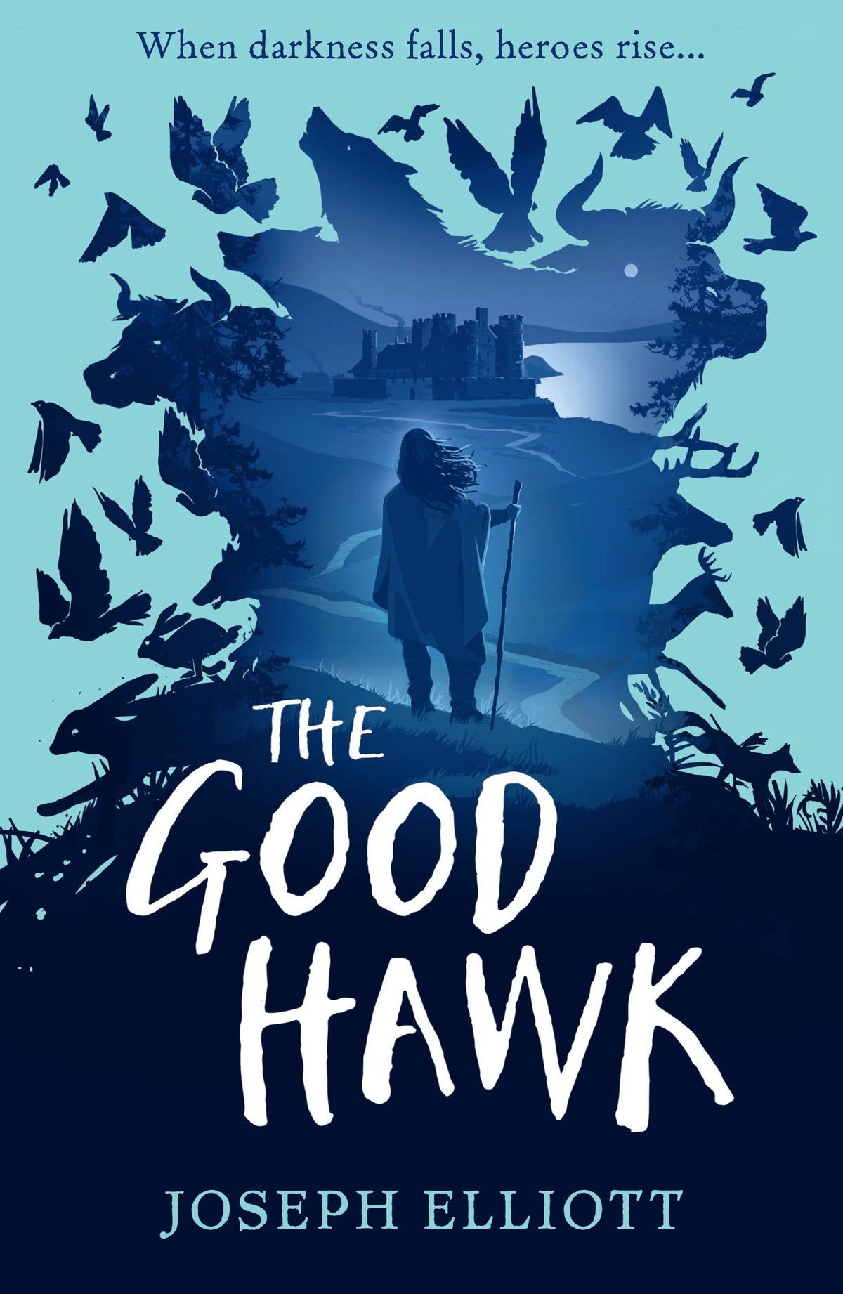 The Good Hawk (Shadow Skye, Book One) (Shadow Skye 1)