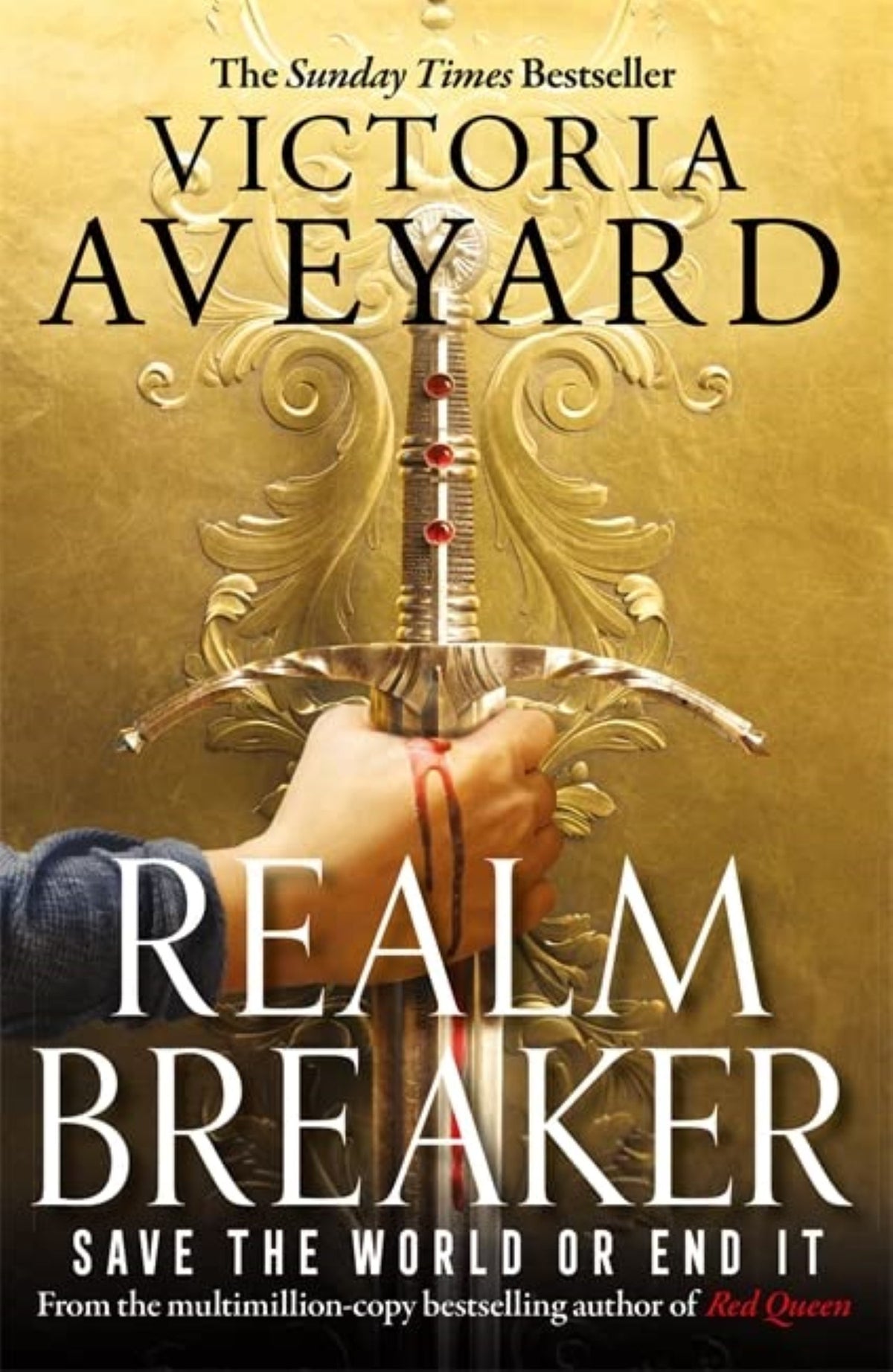Realm Breaker: From the Author of the Multimillion Copy Bestselling Red Queen Series