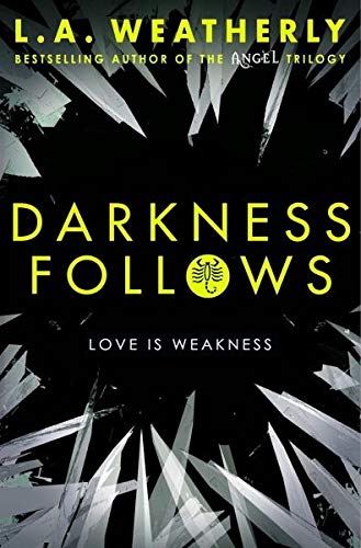Darkness Follows (The Broken Trilogy #2)
