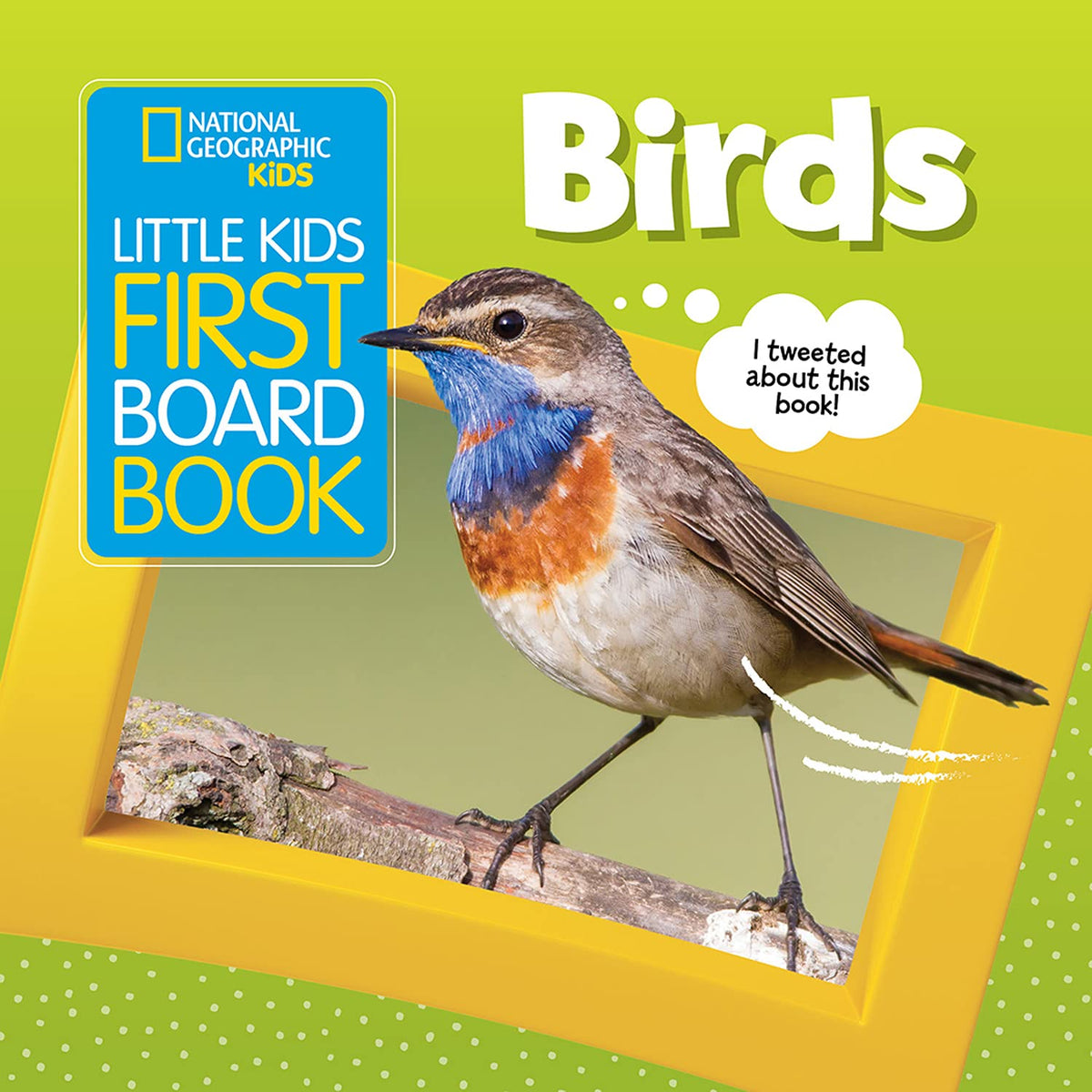 Little Kids First Board Book: Birds (First Board Books)