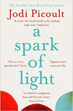 A Spark Of Light