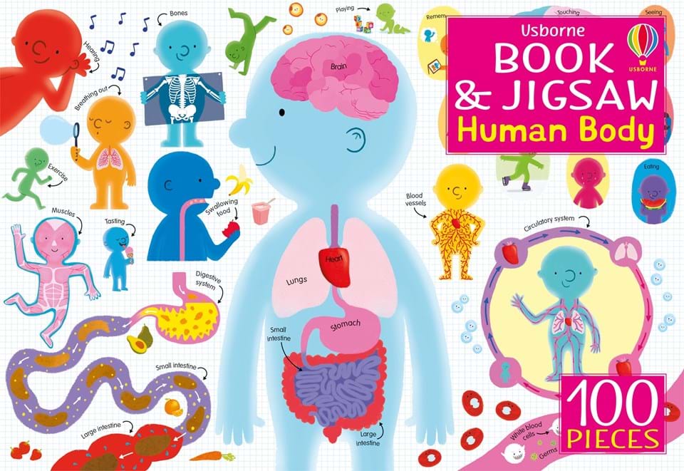 The Human Body Jigsaw