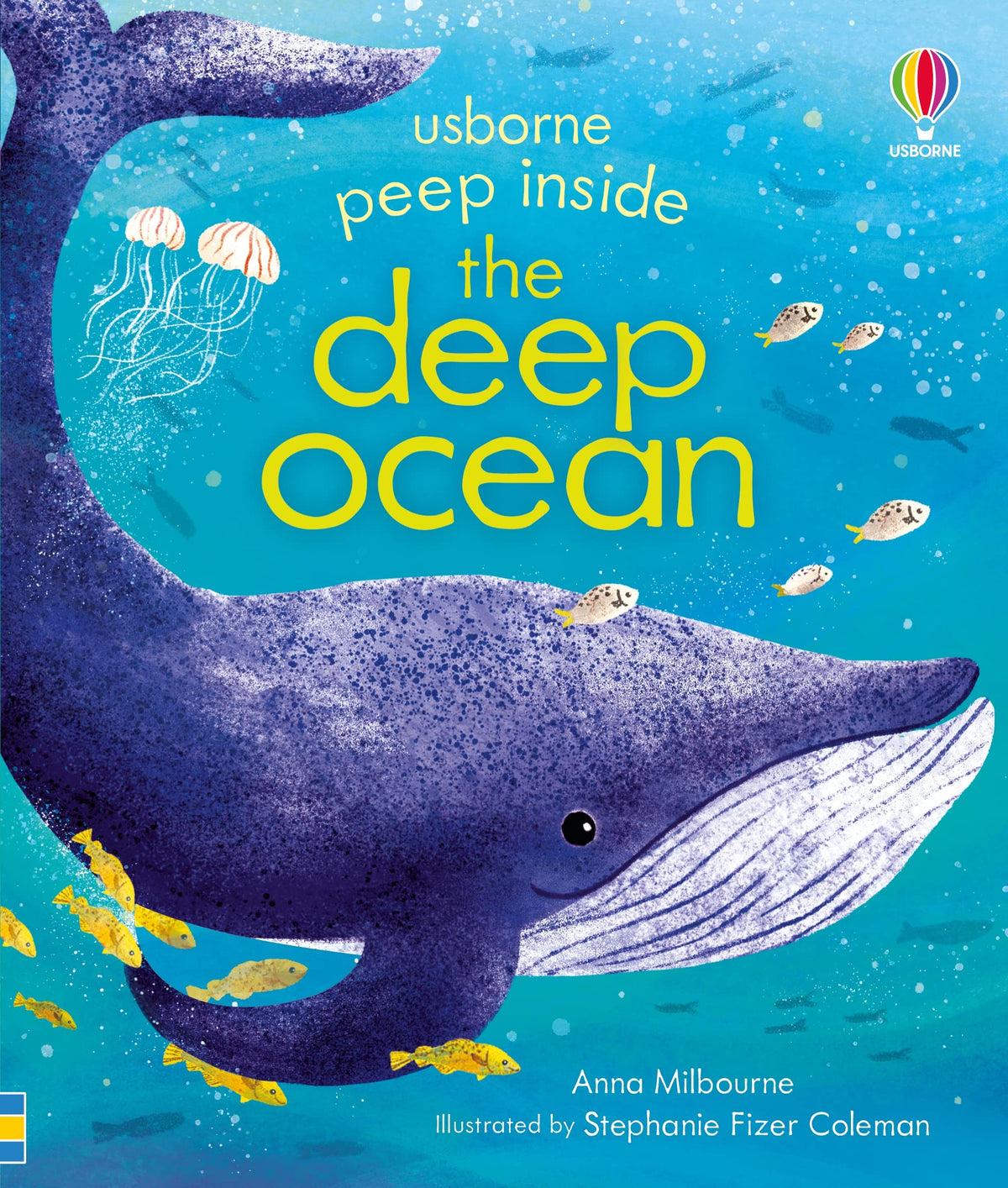 Peep Inside: the Ocean