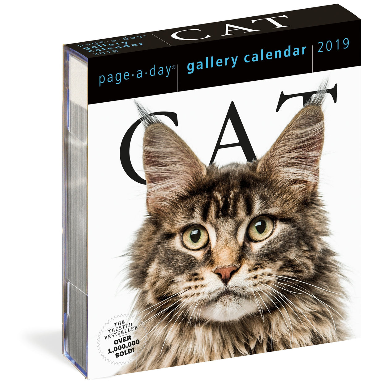Cat Page-A-Day Gallery Calendar 2019
