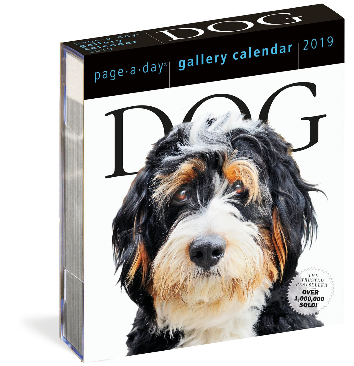 Dog Page-A-Day Gallery Calendar 2019