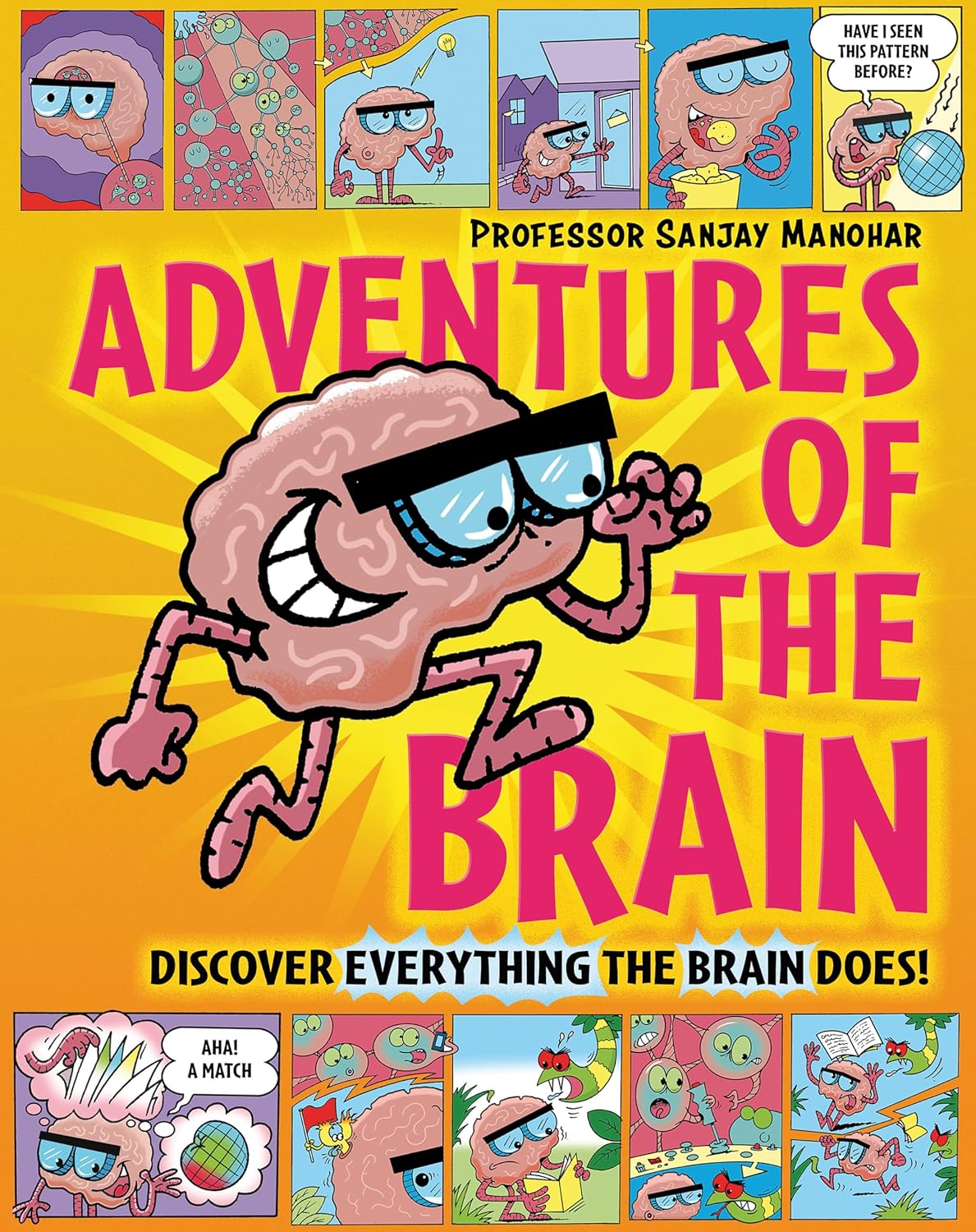 Adventures of the Brain: What the Brain Does and How It Works