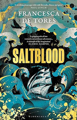 Saltblood: An epic historical fiction debut inspired by real life female pirates