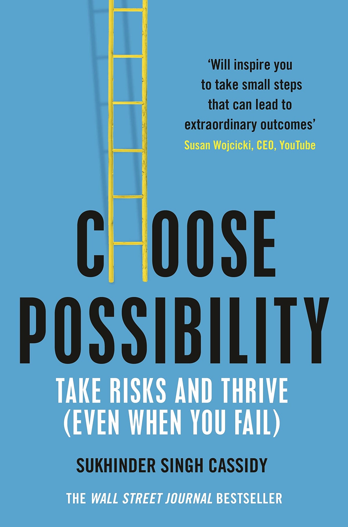 Choose Possibility - How to Master Risk and Thrive