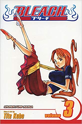 Bleach: Volume 3: Memories in the Rain