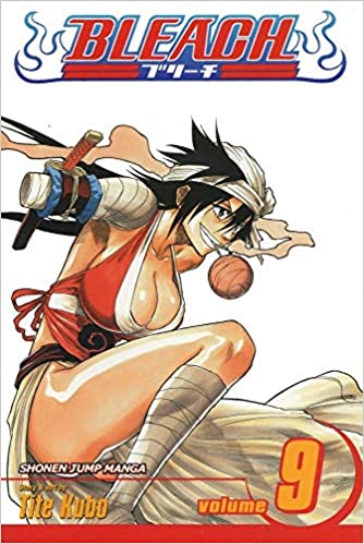 Bleach, Vol. 9 Fourteen Days for Conspiracy