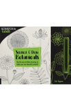 Scratch and Create: Scratch and Draw Botanicals