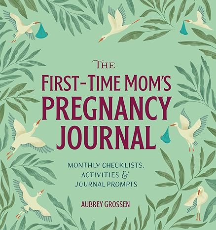 The First Time Moms Pregnancy Journal