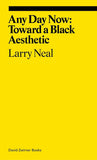 Any Day Now Toward a Black Aesthetic