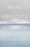 How to Meditate - A Practical Guide to Making Friends with Your Mind
