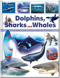 Dolphins, Sharks and Whales