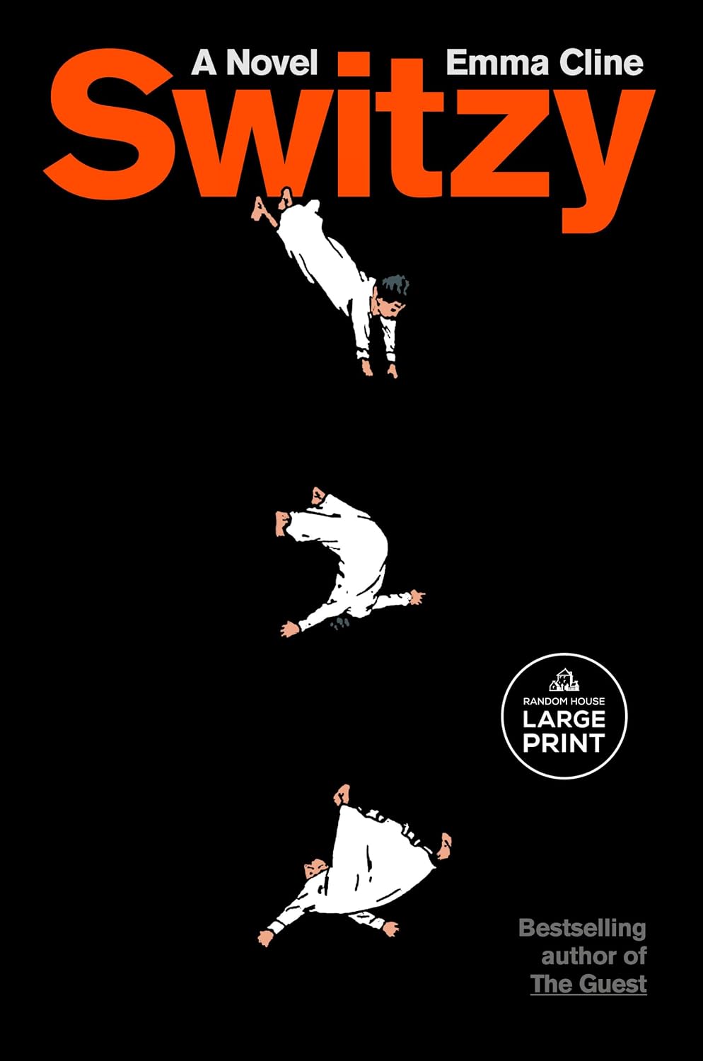 Switzy: A Novel