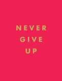 Never Give Up