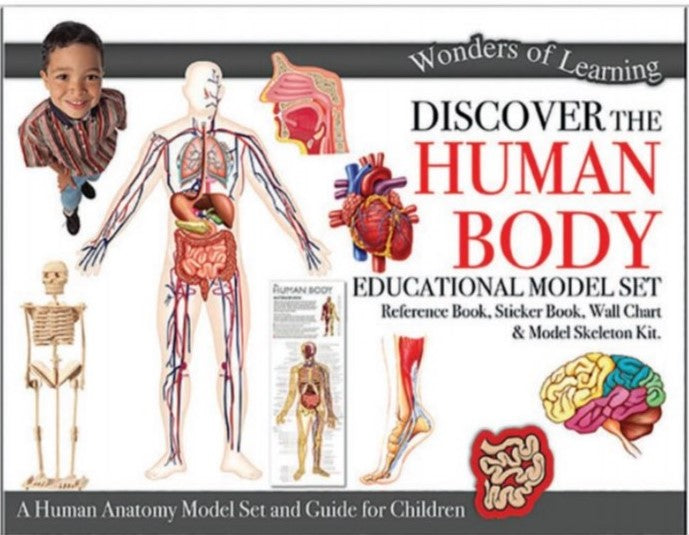 HL - Wonders of Learning Model Set - The Human Body - (BOX)