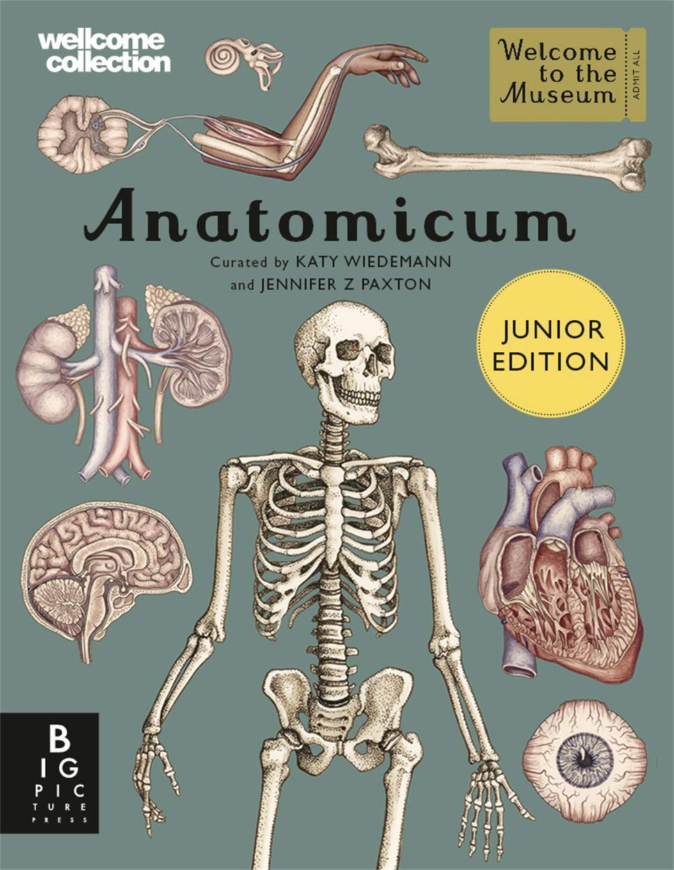 Anatomicum