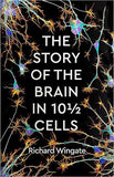 The Story of the Brain in 101⁄2 Cells