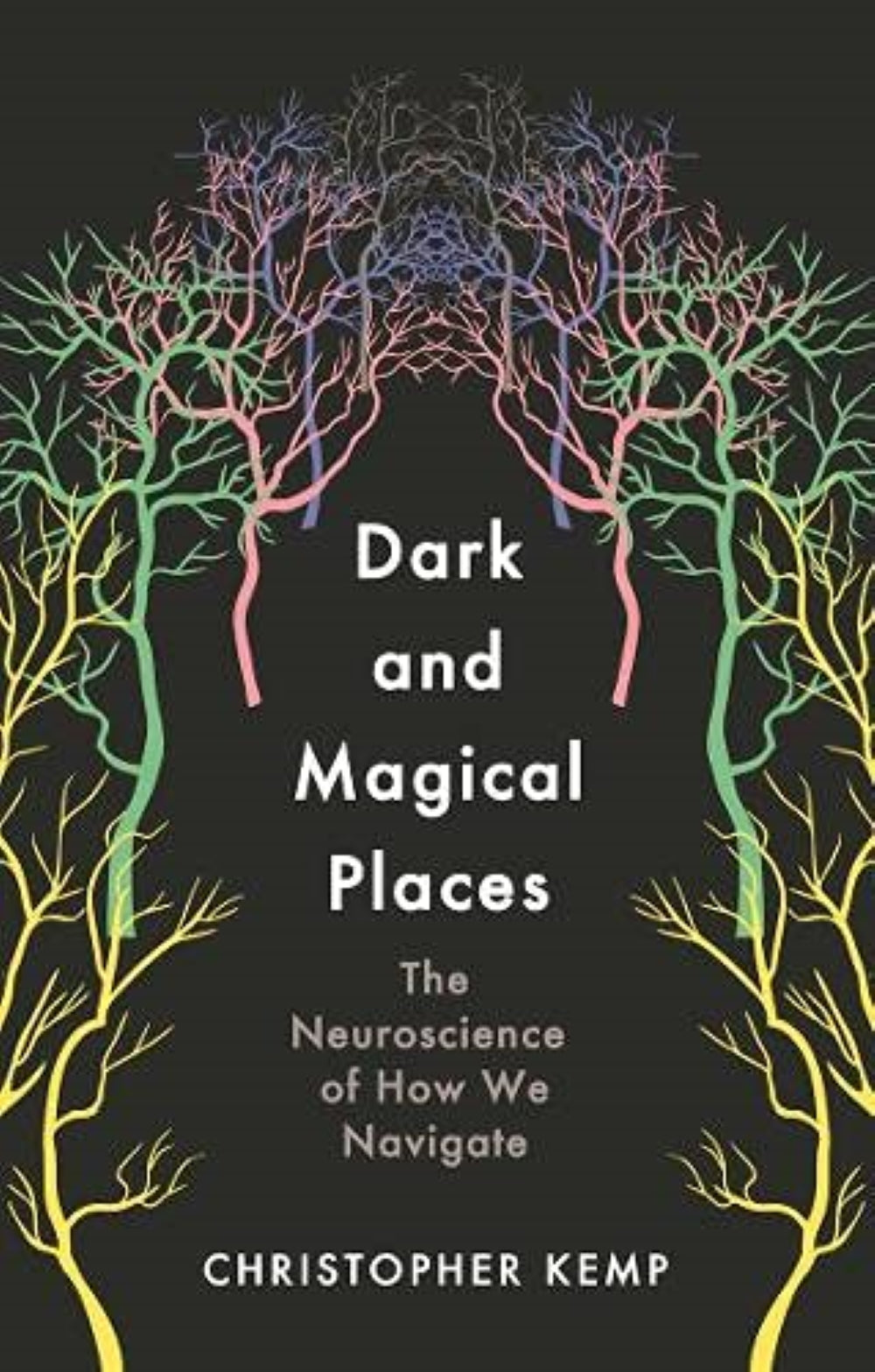 Dark and Magical Places: The Neuroscience of How We Find Our Way