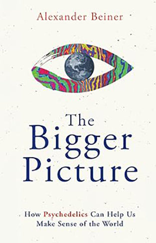 The Bigger Picture - How Psychedelics Can Help Us Make Sense of the World