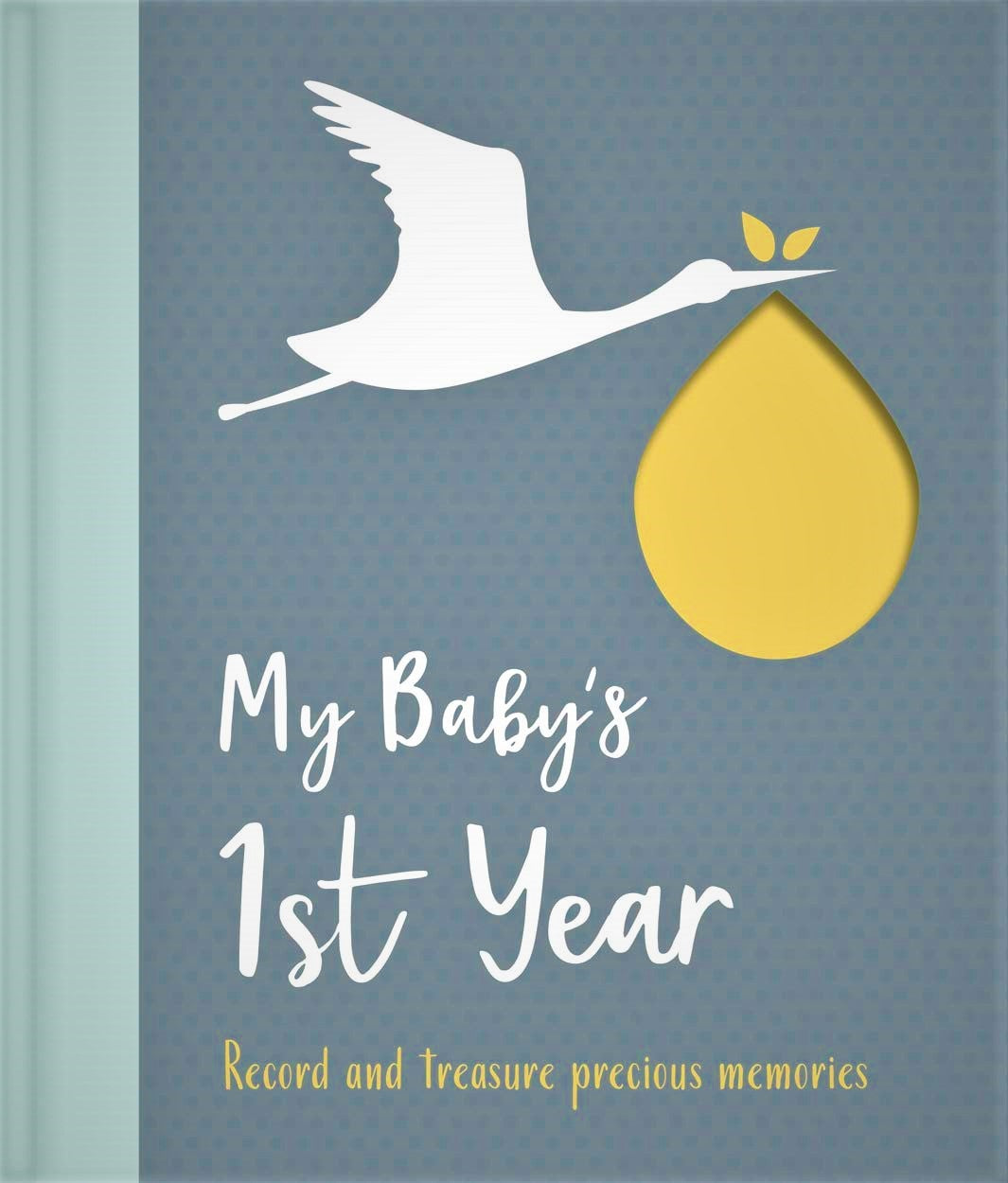 My Baby's 1st Year (My Baby's Love)