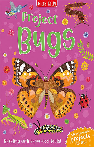 Project Bugs