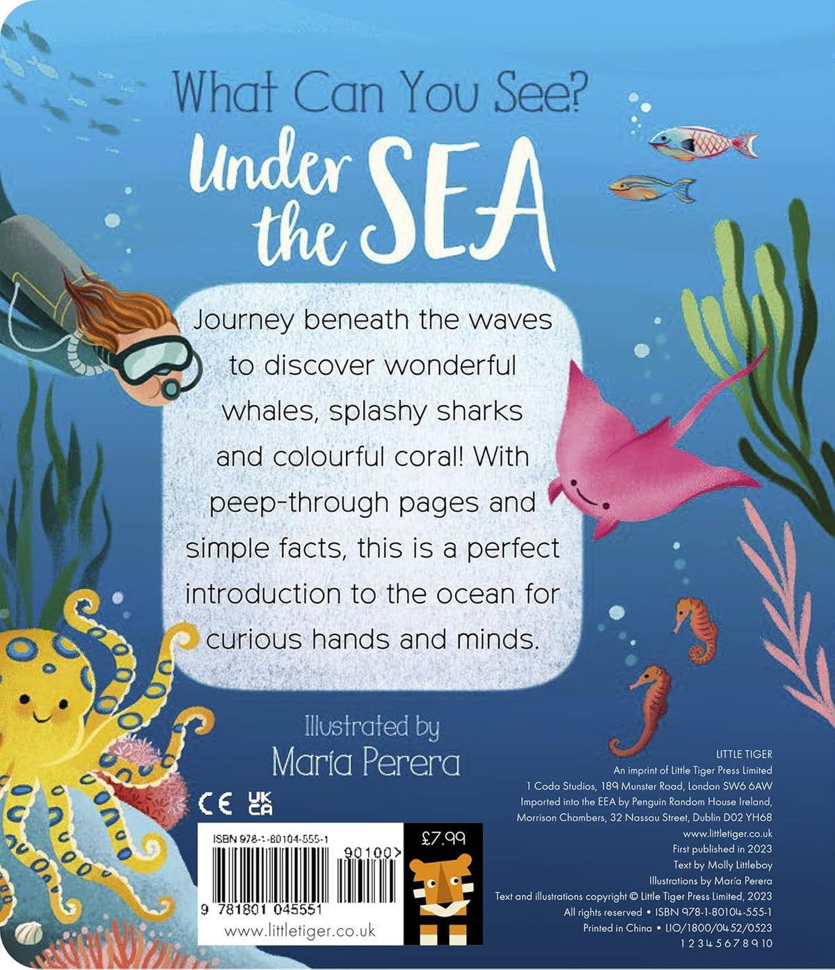 What Can You See  Under the Sea