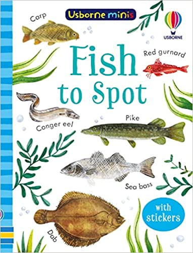 Fish to Spot (Usborne Minis)