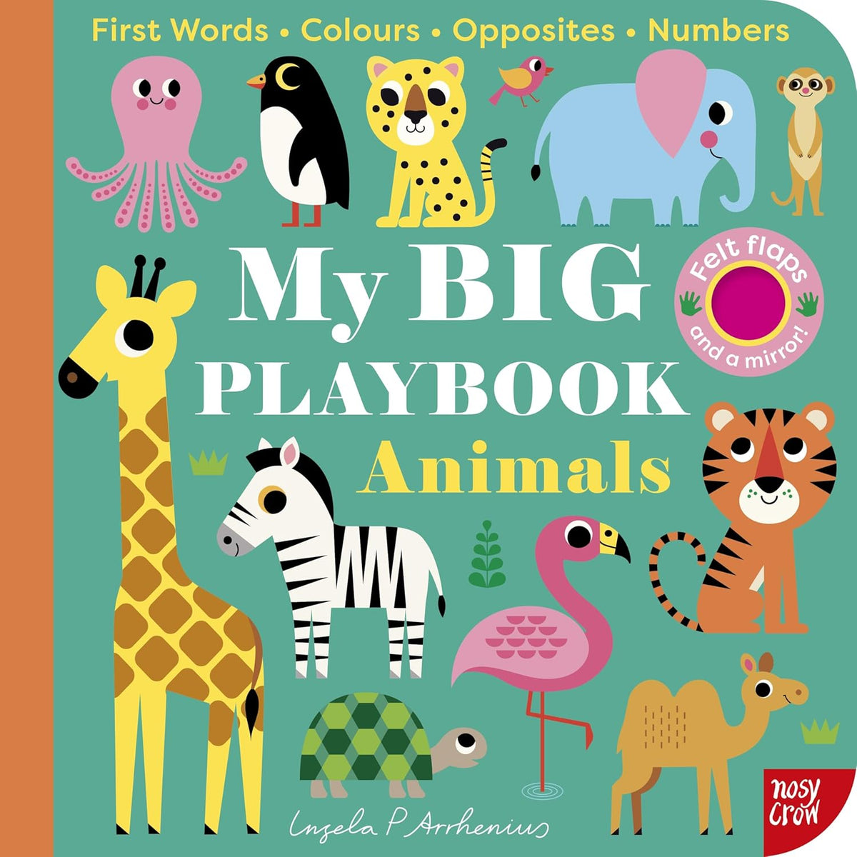 My BIG Playbook
