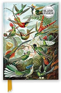 Ernst Haeckel Hummingbirds Foiled Blank Journal Flame Tree Blank Notebooks