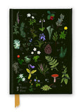 Anna Stead: The Forest Floor